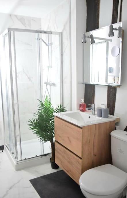 Ferienwohnung Chic Et Normand, Parking Facile, Wifi Hd Pont-Audemer Exterior foto